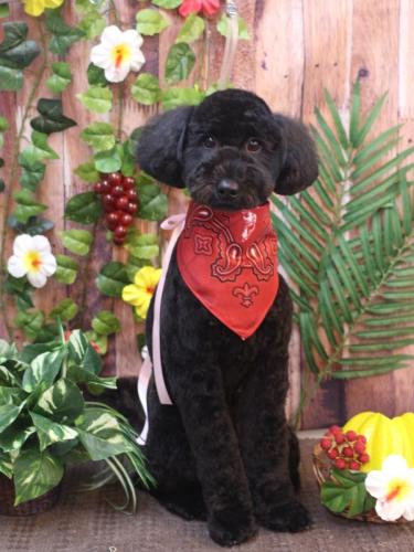 20230801アロちゃん